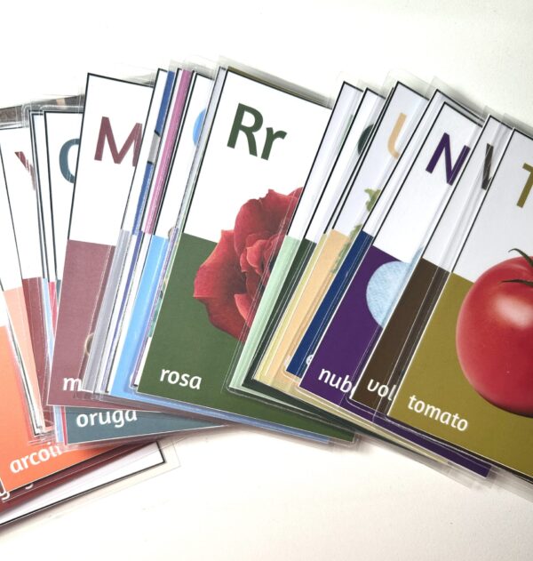 Flashcards ABC EN/ES